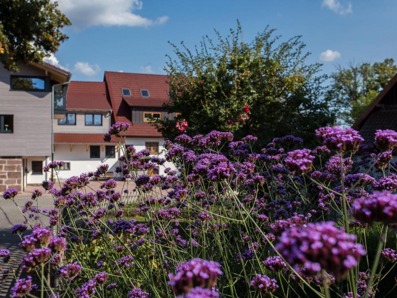 Saunaloft Schwarzwald Aichhalden Bagian luar foto